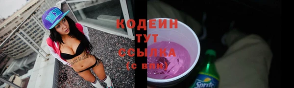 тгк Богданович