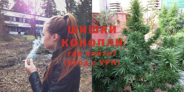 тгк Богданович