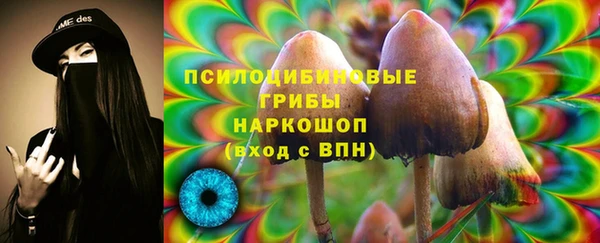 тгк Богданович